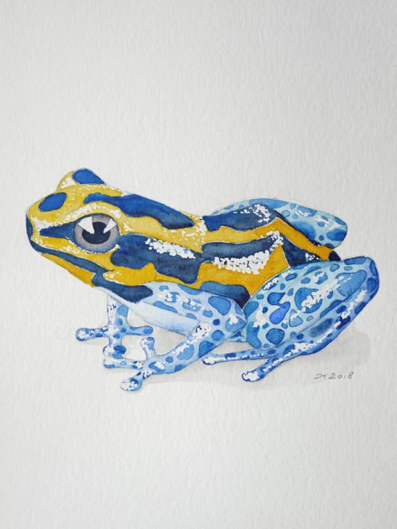 Aquarellbild eines grünen Frosches vor weissem Hintergrund